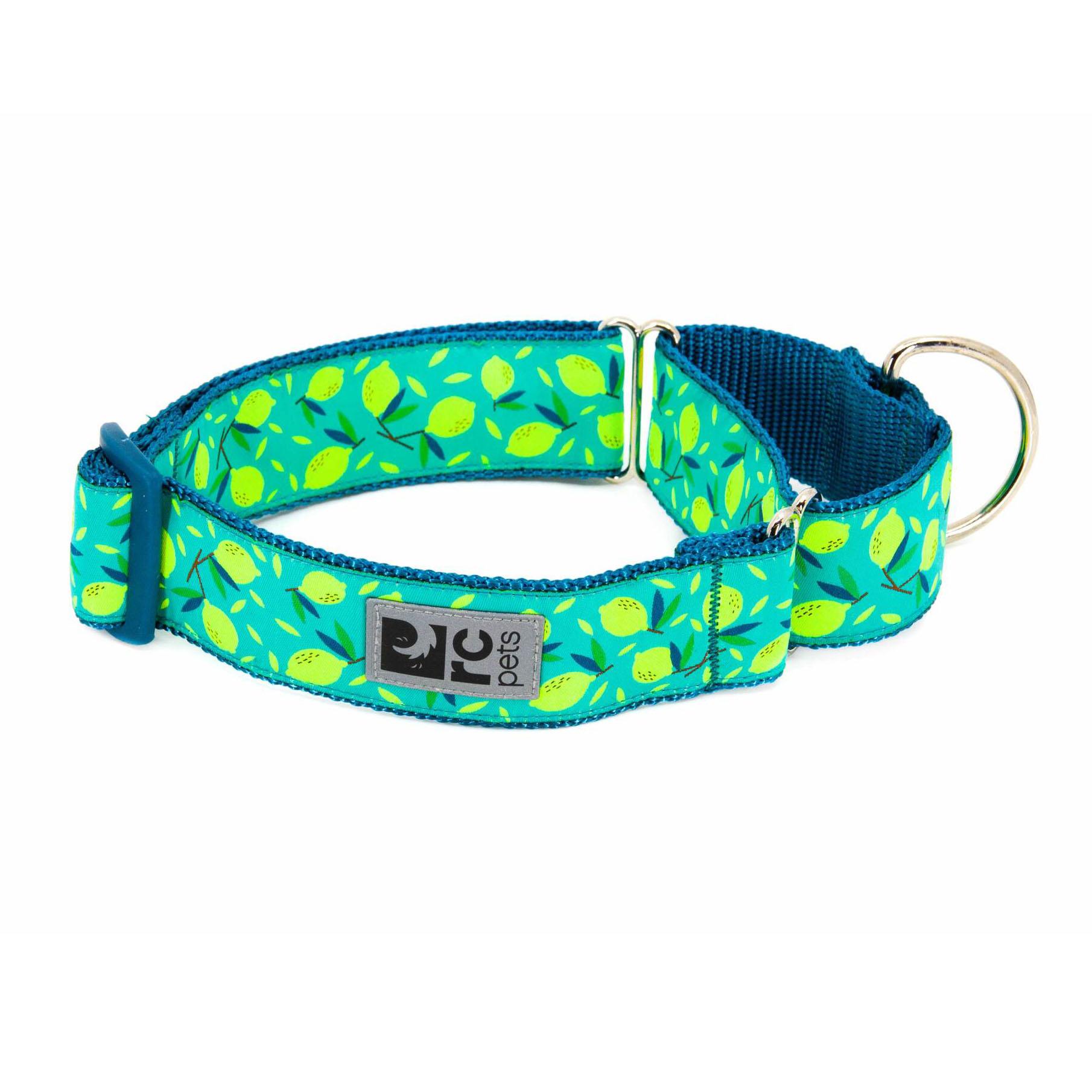 All Webbing Martingale Dog Training Collar - Lemonade