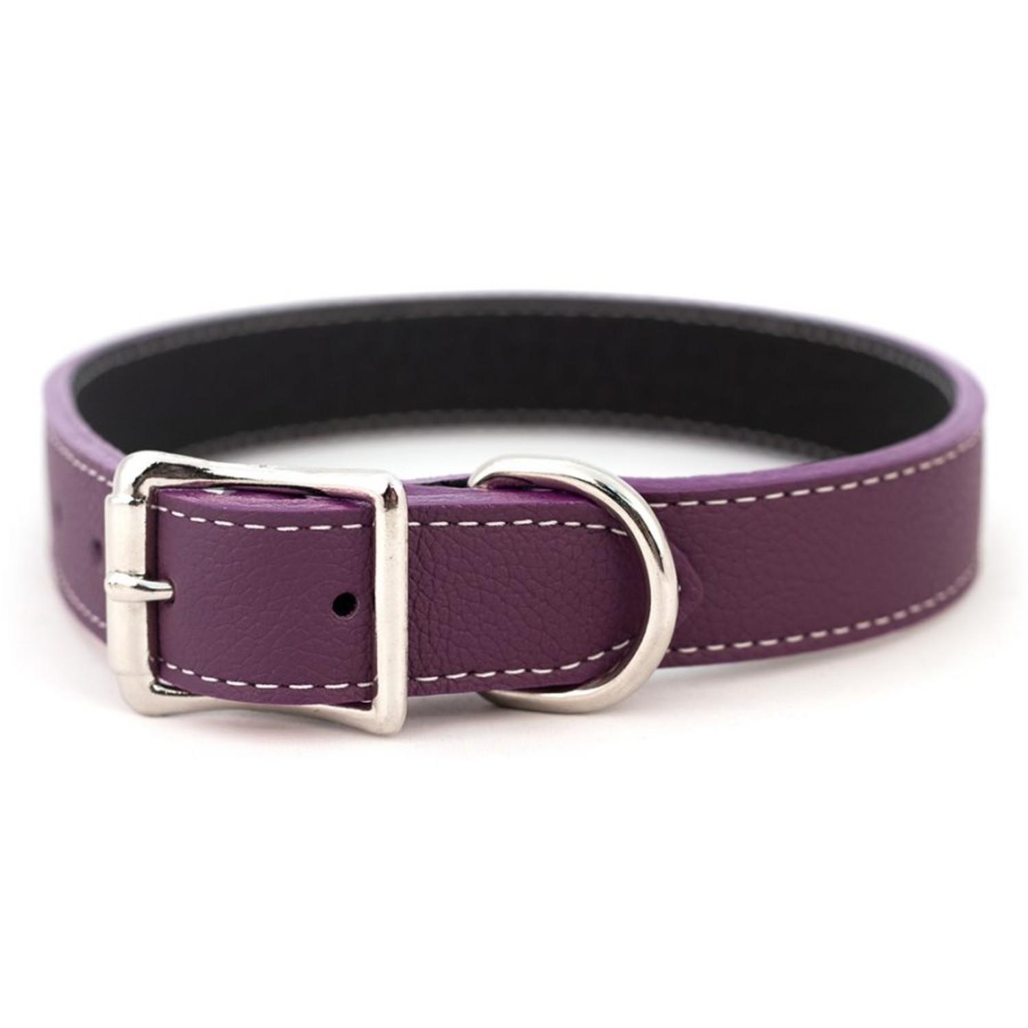 Auburn Leathercrafters Tuscan Leather Dog Collar - Purple