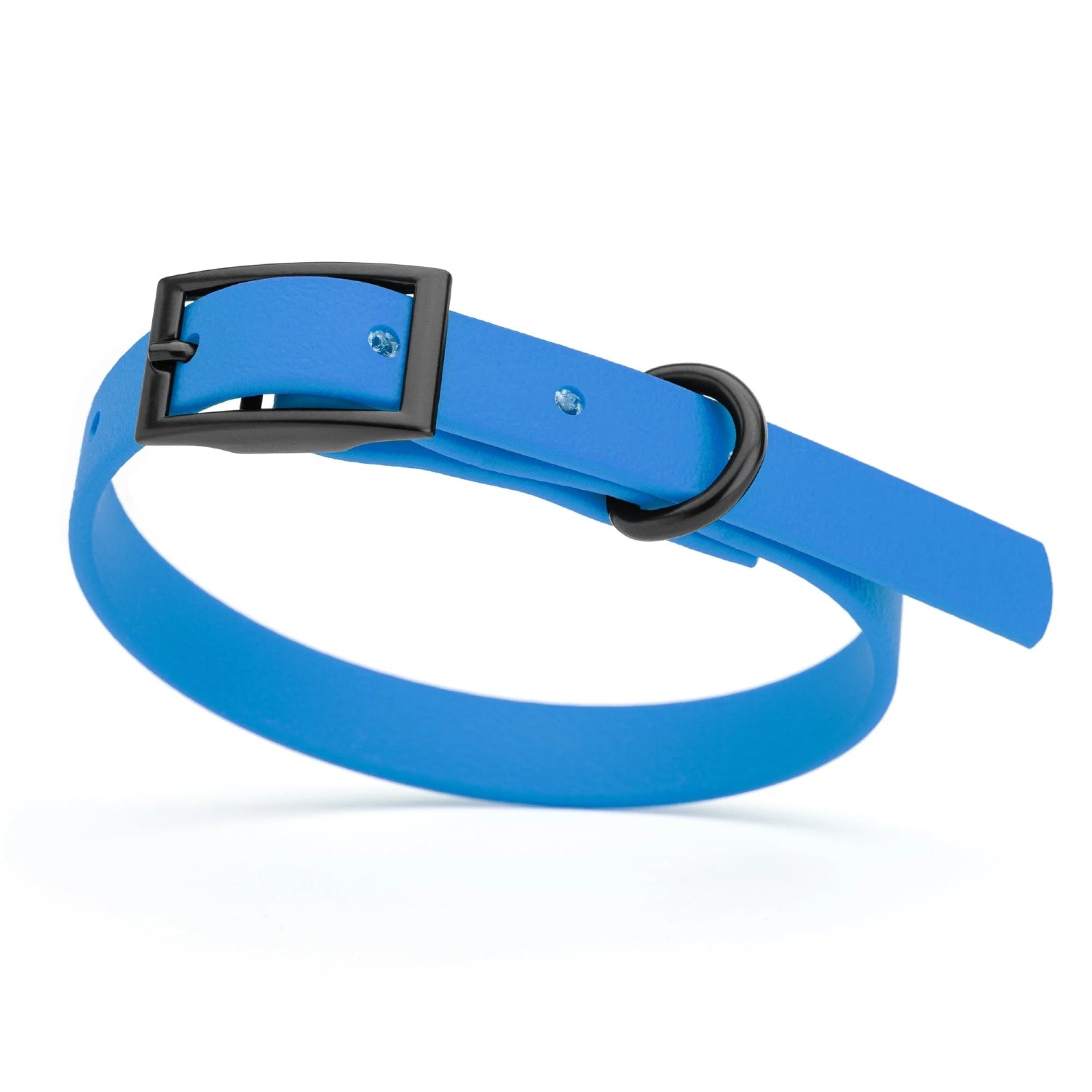 Dogline Biothane Waterproof Buckle Dog Collar - Cerulean Blue