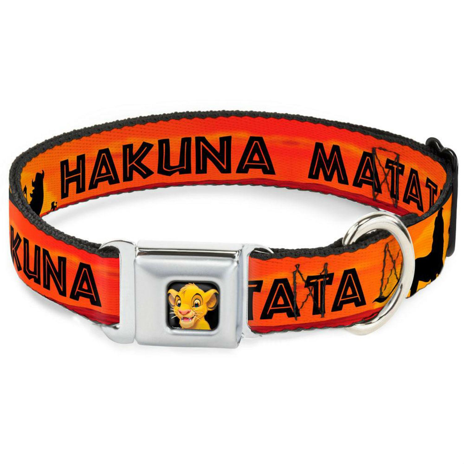 Hakuna Matata Seatbelt Buckle Dog Collar by Buckle-Down - Orange