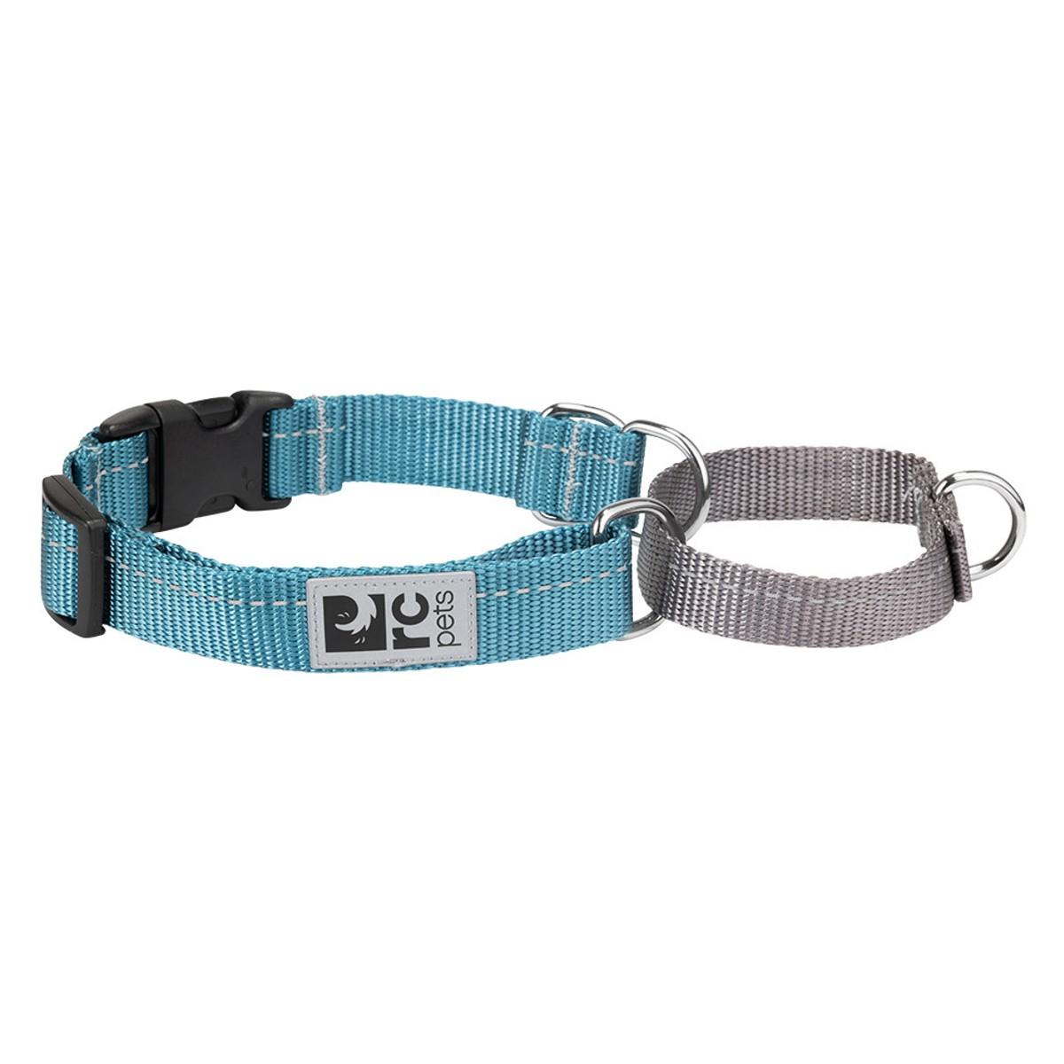 RC Pet Primary Web Training Clip Dog Collar - Dark Teal