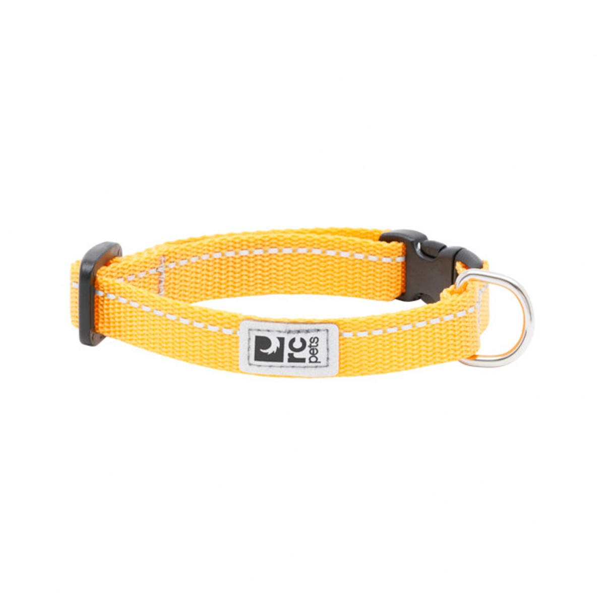 RC Pet Petite Primary Clip Dog Collar - Marigold