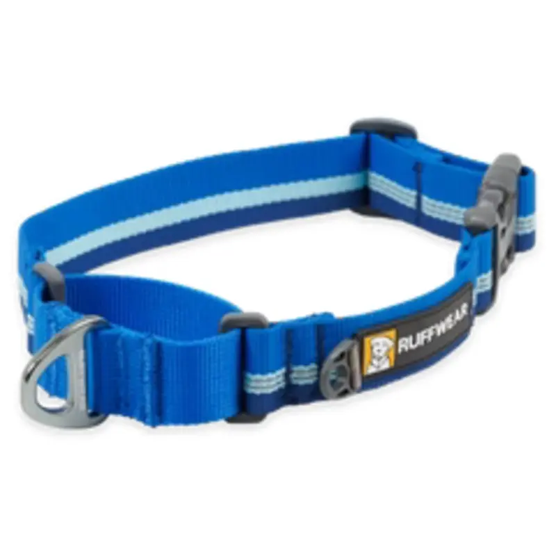 Ruffwear Web Reaction Dog Collar - 17-20" Medium - Blue Pool