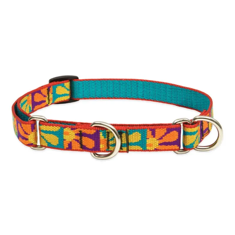 LUPINE Original Martingale Training Dog Collar 3/4" Wide 14"-20" Neck Size Crazy Daisy