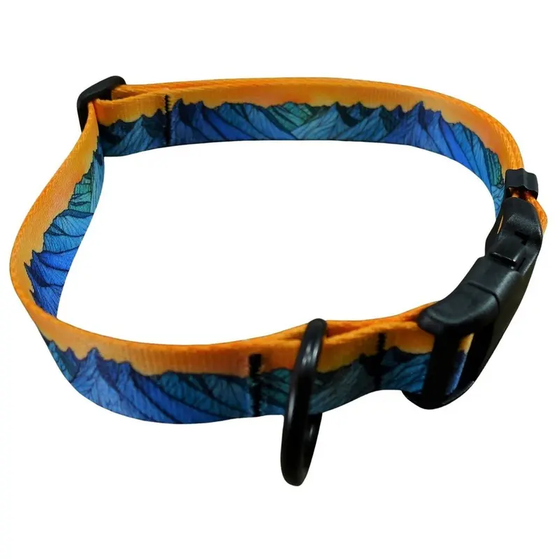 MTN Straps The Grand Dog Collar Small 9"-14"
