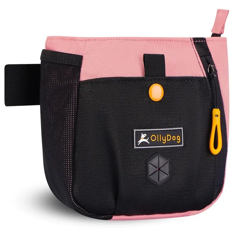 Olly Dog Backcountry Pink Day Bag for Dogs
