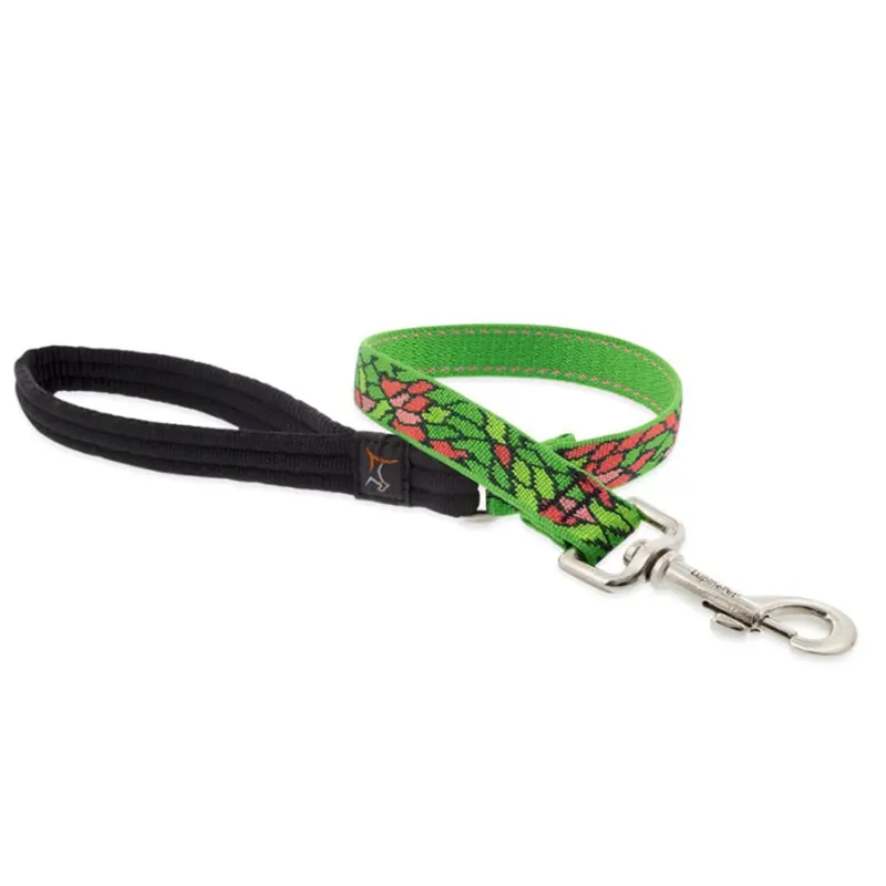 LUPINE MicroBatch Dog Leash 3/4" Wide 4 ft Length Tiffany
