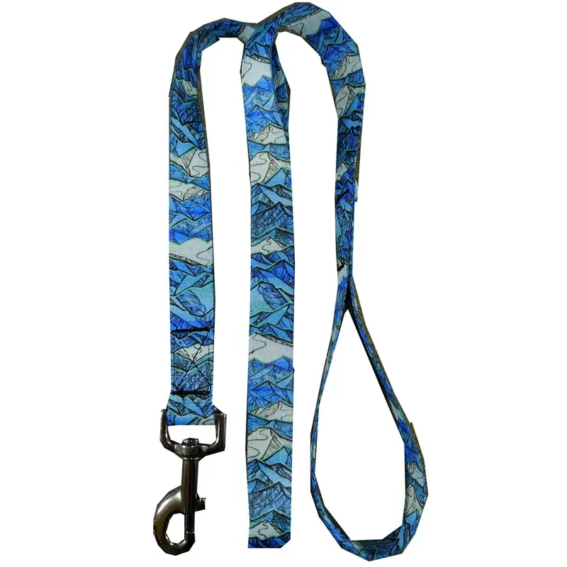 MTN Straps Salida Magic Dog Leash 6 Foot