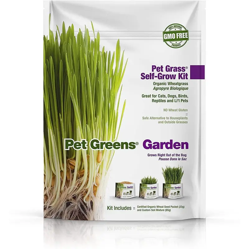 Pet Greens Self-Grow Pet Grass Kit