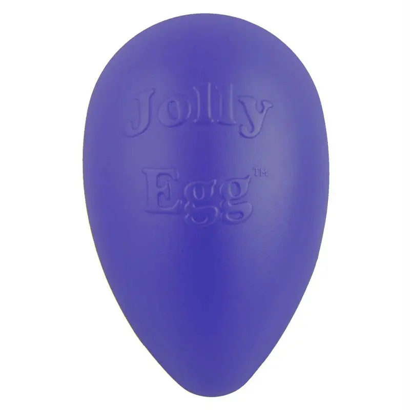 Jolly Pets Egg 12" Purple Dog Toy