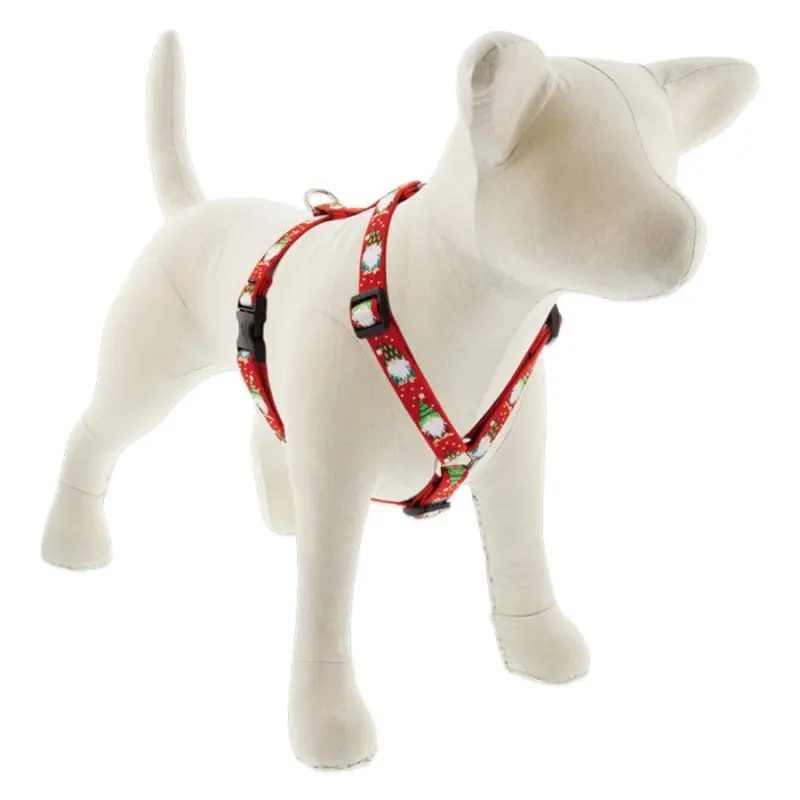 Lupine MicroBatch Roman Dog Harness 3/4" Wide 12"-20" Girth Size Gnomes