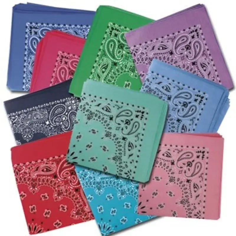 Bandana Paisley Assorted 22" Square