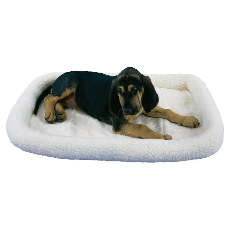 Precision Pet Products Bumper Bed 18x12"