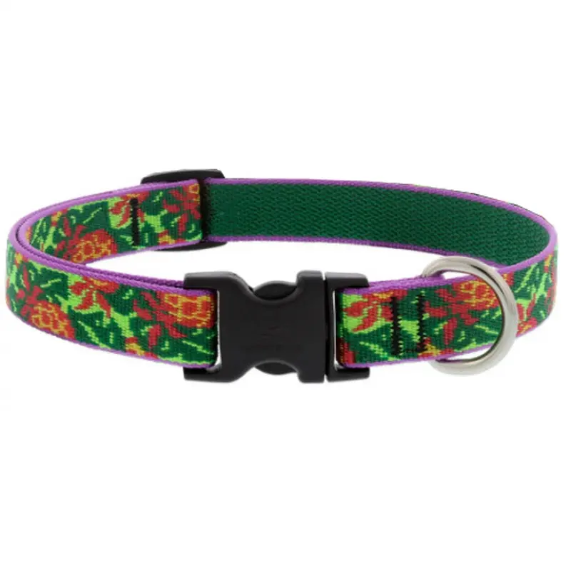 Lupine Adjustable Dog Collar 3/4" Wide x 15"-25" Pina Colada