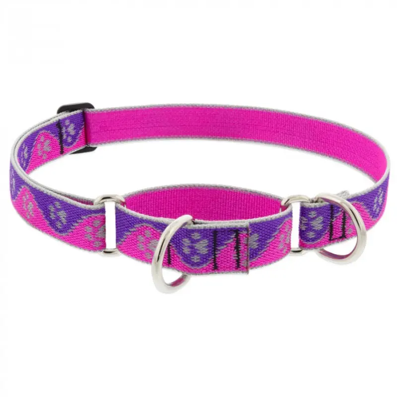 Lupine Dog Collar Martingale 3/4" Wide X 10"-14" Neck Size Pink Paws