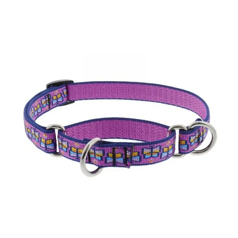 Collar Combo Martingale 3/4" Wide X 9-14" Neck Size Flutterby