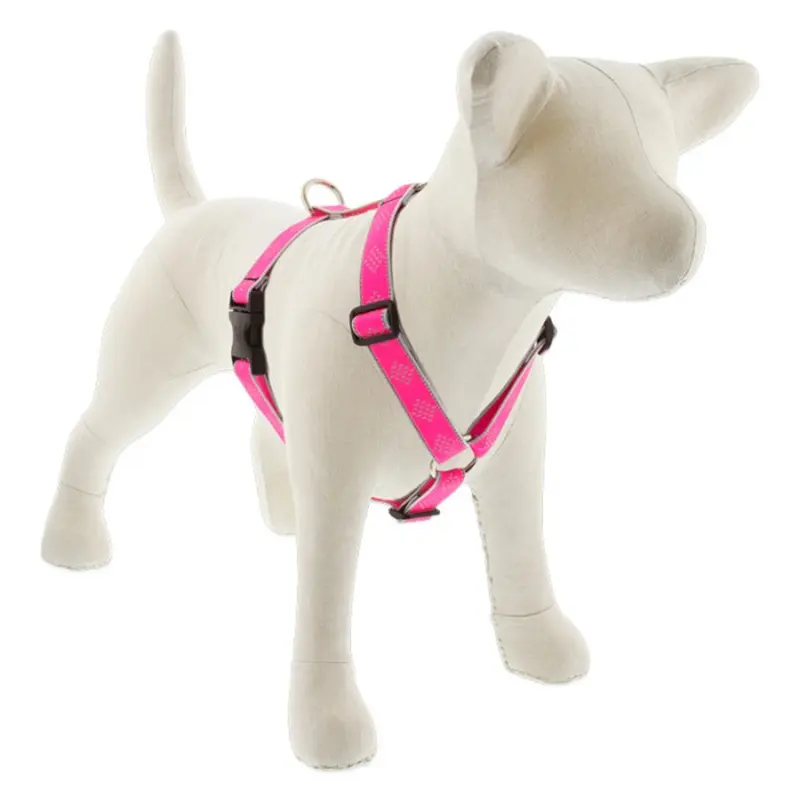 Lupine Reflective Roman Dog Harness 1" Wide 20"-32" Girth Pink Diamond