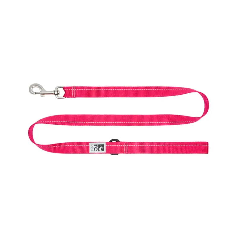 RC PETS Dog Primary Leash, Azalea, 1"x4'