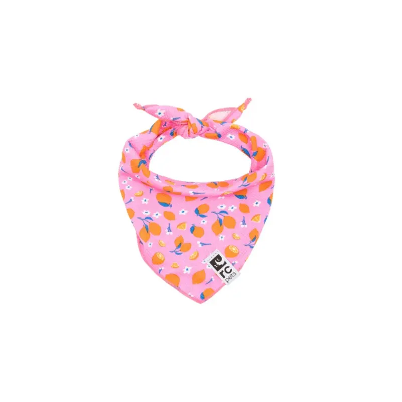 RC PETS Dog Zephyr Cooling Bandana, Zesty, S/M, 8" - 17"