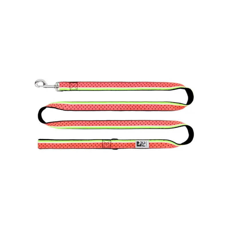 RC PETS Dog Leash, Watermelon, 3/4"x6'