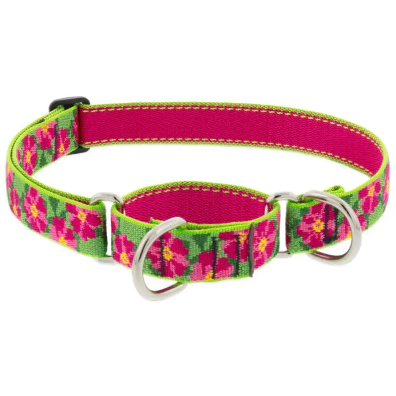 Lupine Martingale Collar for Training 1" x 19-27" Petunias