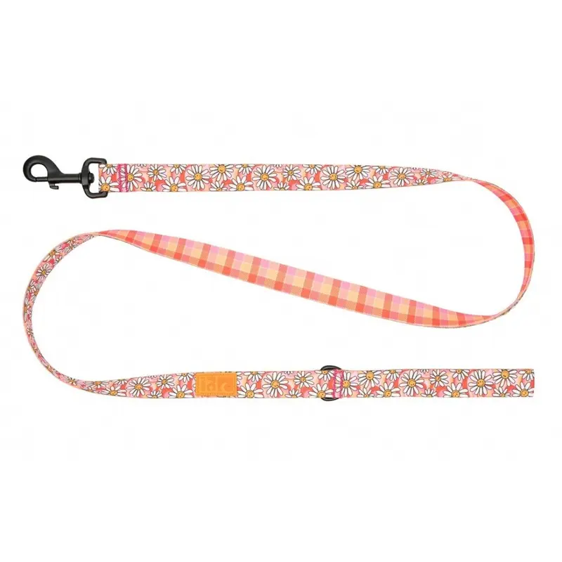 RC Pets Dog Leash 1"x5' Daisy Joy Gleeful Gingham