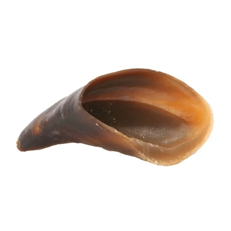 Redbarn Naturals Cow Hooves Dog Treats - Single Hoof