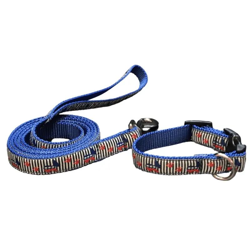 Democratic Pride Dog Collar or Lead (1" Wide)