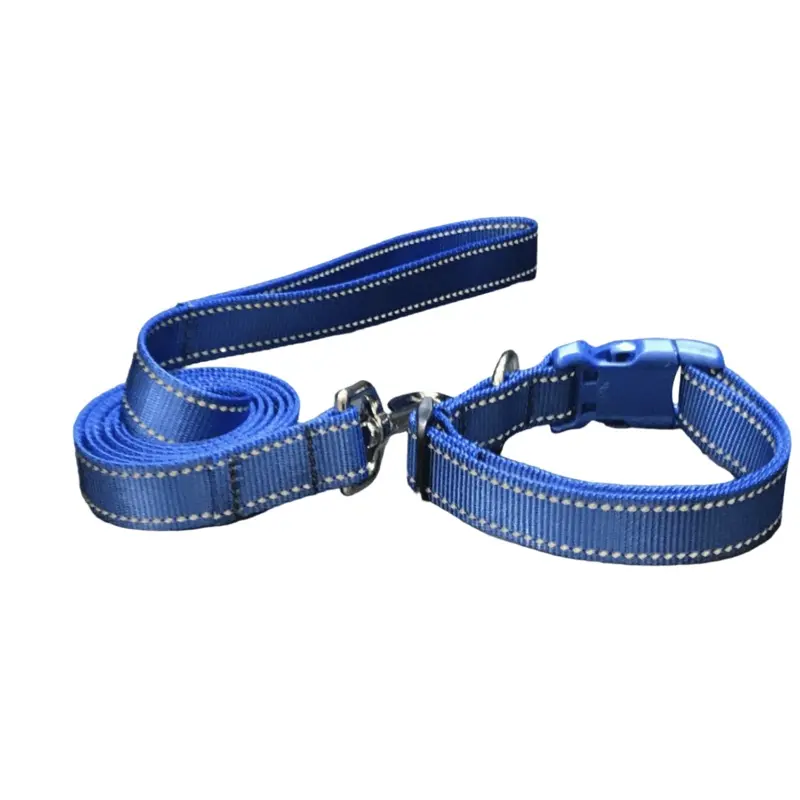Blue Reflections Dog Collars or Leads (5/8" wide)
