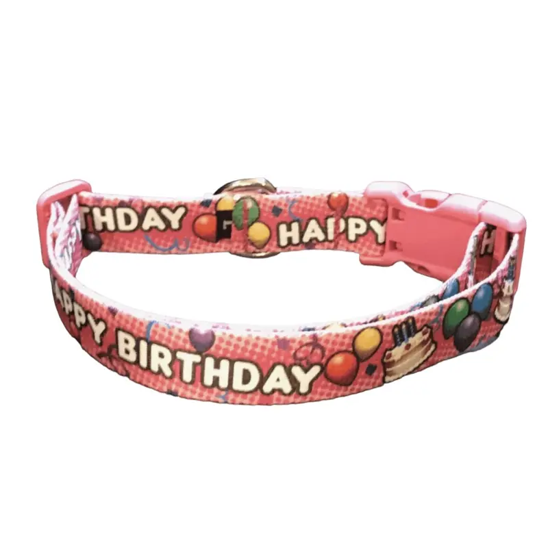 Pink Birthday Bash Dog Collars & Leads (1" Wide)