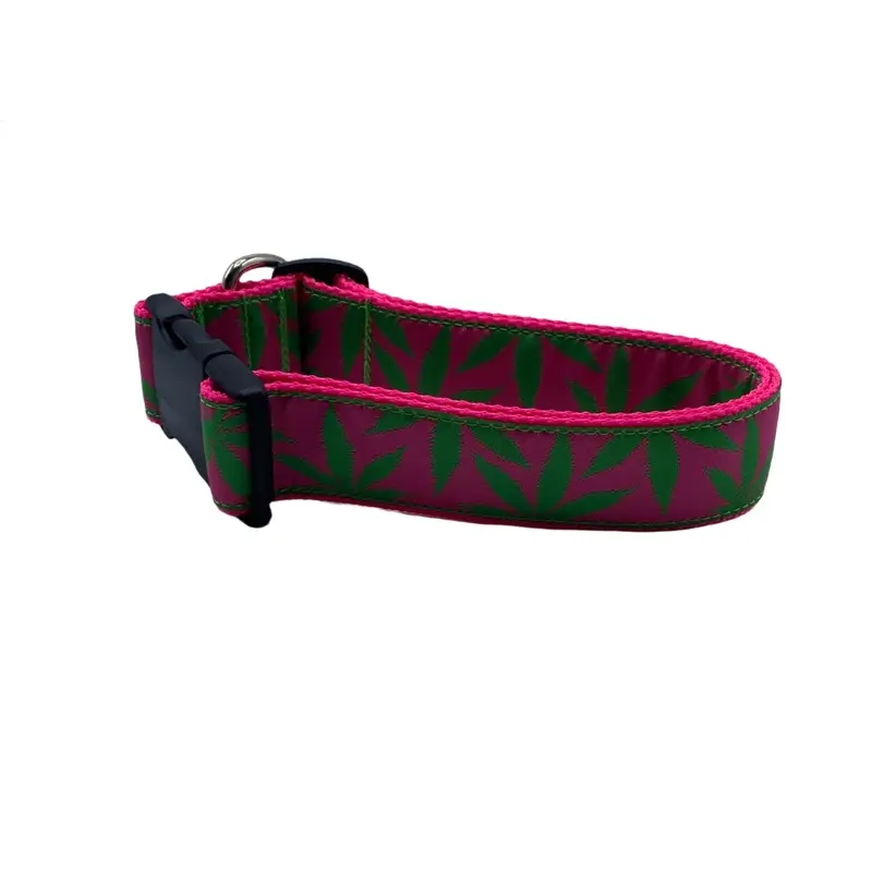 Pink Cannabliss Dog Collars (1.5" Wide)