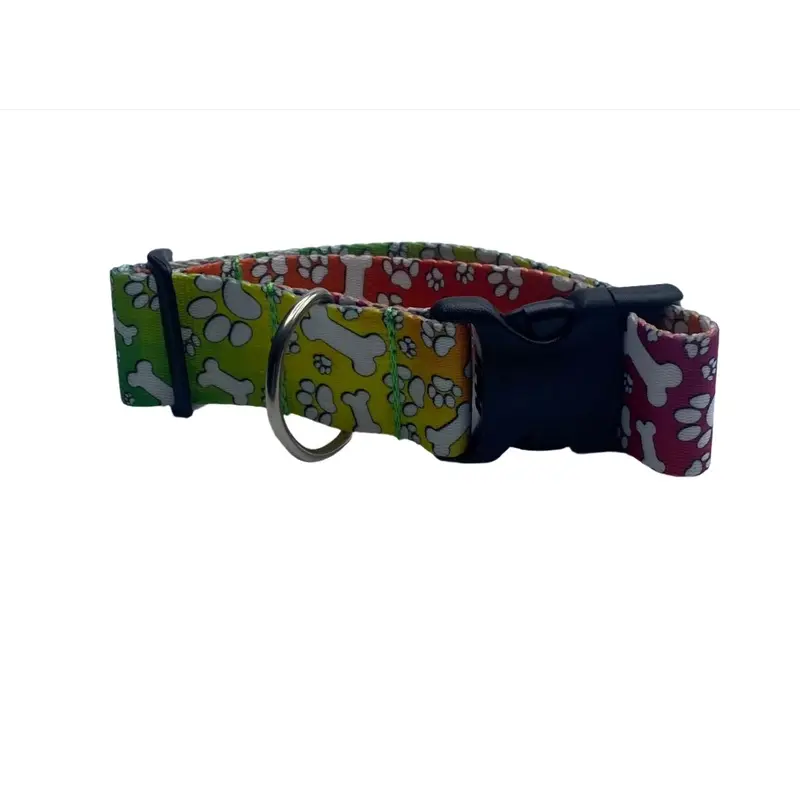 Tie Dye Dog Rainbow Bones Dog Collar (1.5" Wide)