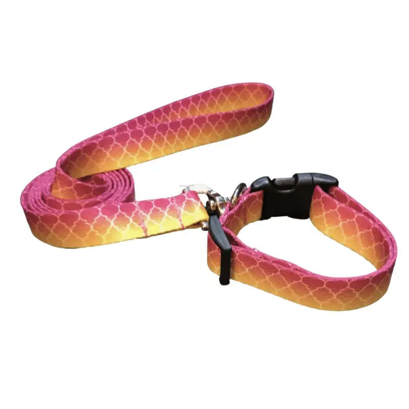 Sunrise Lattice Love Dog Collars or Leads (5/8" Wide)