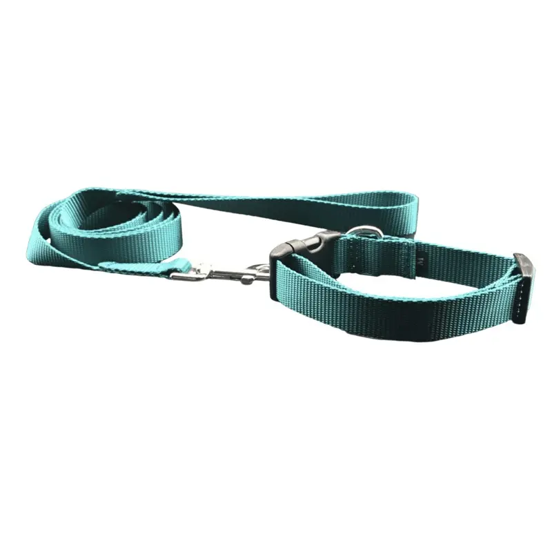 Teal Dog Collar w/Reflective Buckle (1" Wide)
