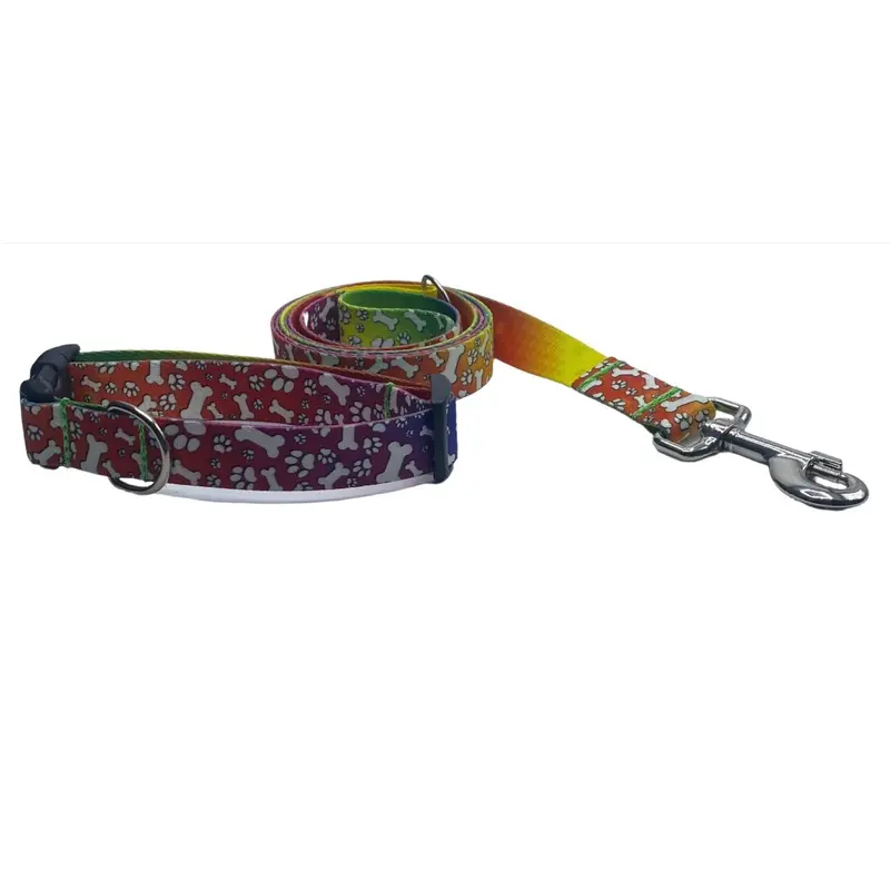 Tie Dye Dog Rainbow Bones Collars or Leads (5/8" wide)