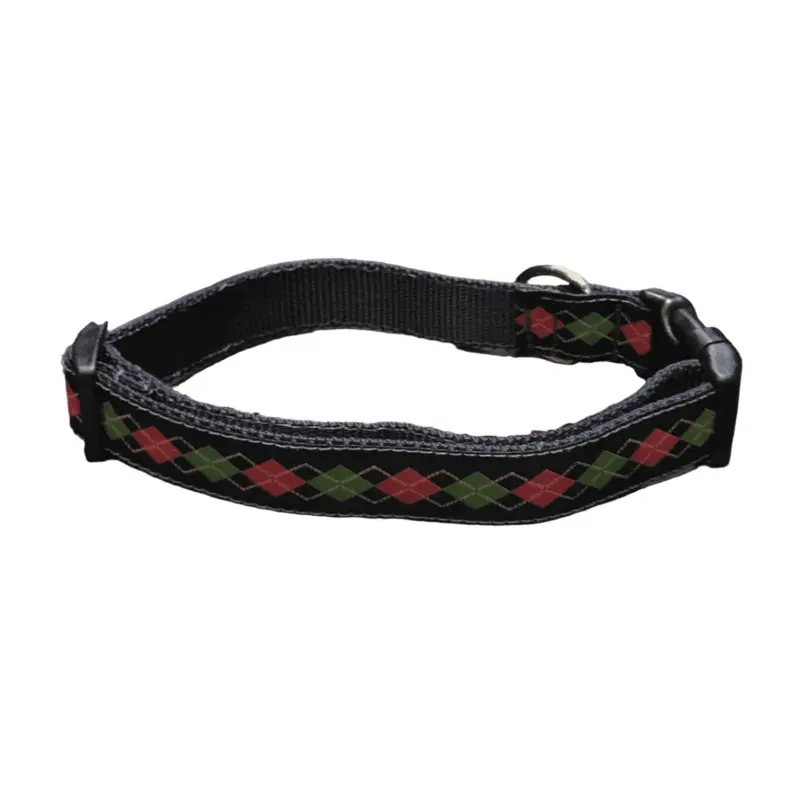 Bark Nerdy to Me Dog Collar or Lead (1" Wide)(Discontinued)