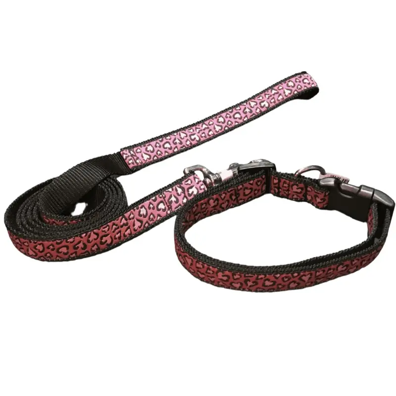 Cheetah Hearts Dog Collars or Leads (1" Wide)
