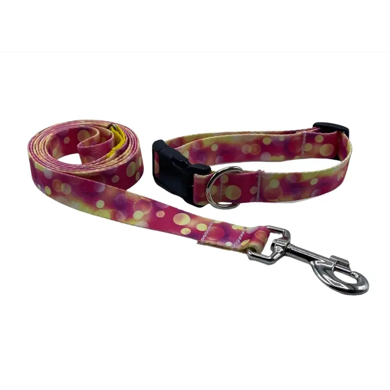 Pink Lemonade Nylon Collars or Leads (1" Wide)