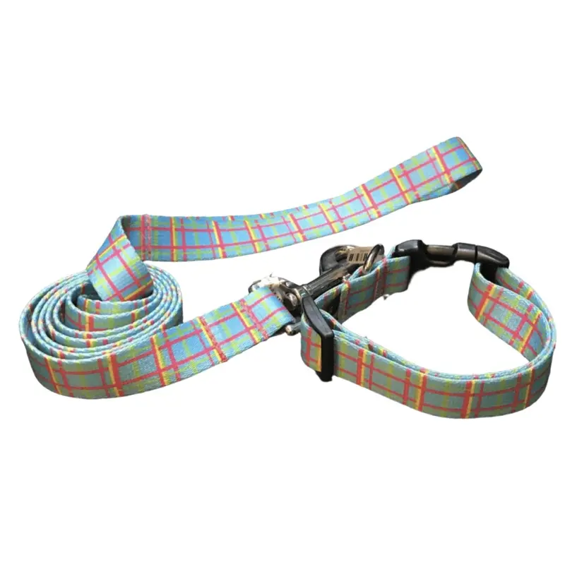 Blue Easter Basket Argyle Dog Collar or Lead (1" Wide)