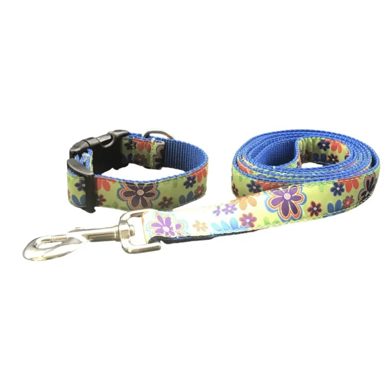 Get Groovy Dog Collars or Leads (1" Wide)