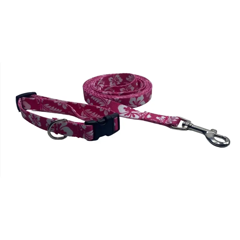Pink Hawaiian Print Nylon Collars or Leads (5/8" wide)