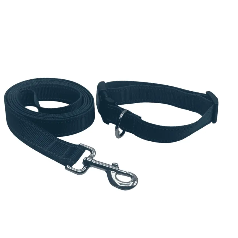 Teal Reflections Dog Collars or Leads (1" Wide)