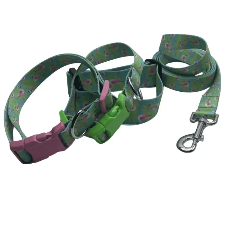 Flamingo A Gogo Dog Collars or Leads (1.5" Wide)