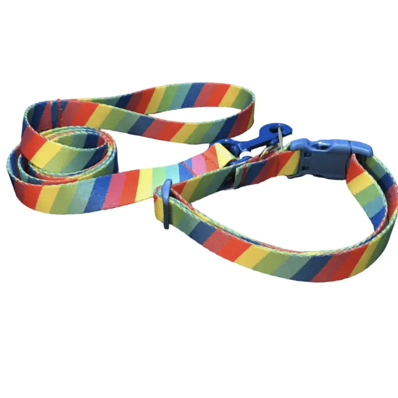 The Jolly Rancher Dog Collars or Leads (1" wide)(Discontinued)