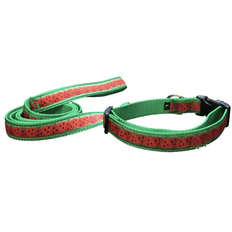 Watermelon Dog Collars or Leads (1" Wide)