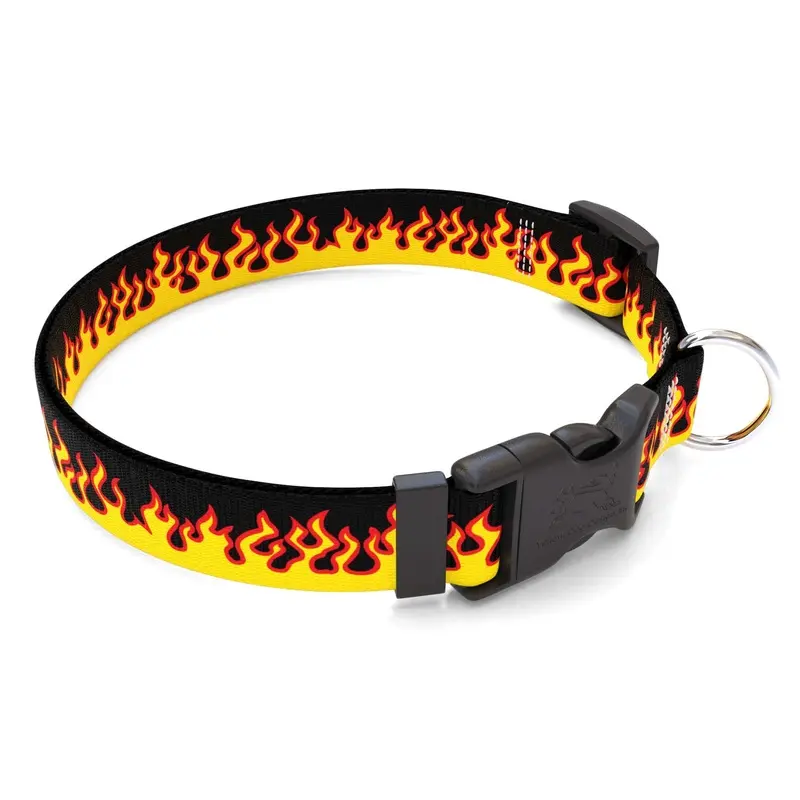 Personalized Red Flames Dog Collar