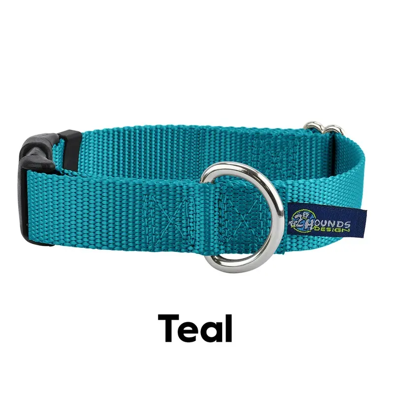 5/8 and 1 Teal Nylon Dog Collar