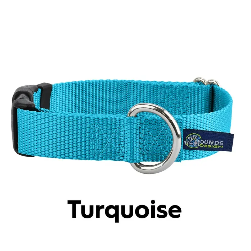 5/8 and 1 Turquoise Nylon Dog Collar