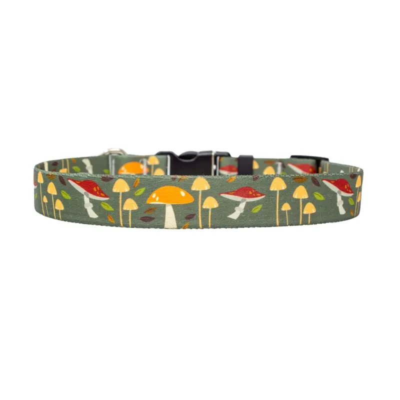 Forest Floor Dog Collar