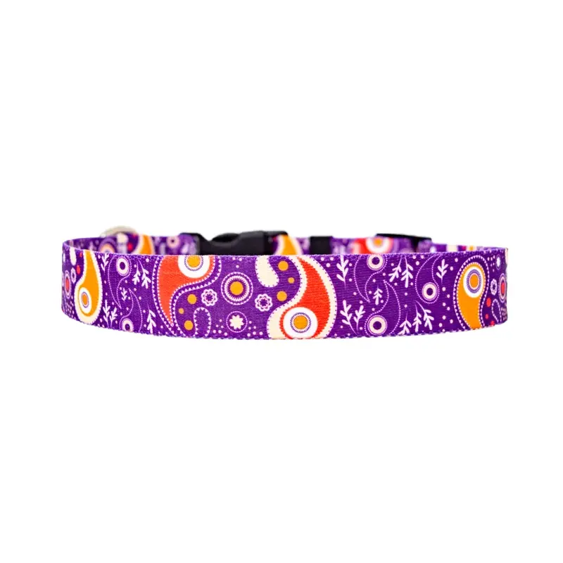 Pastel Retro Paisley Dog Collar